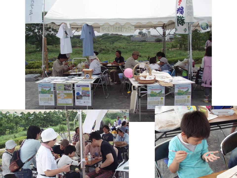 環境フェス