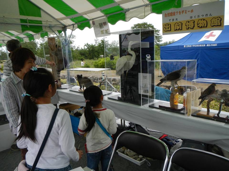 環境フェス