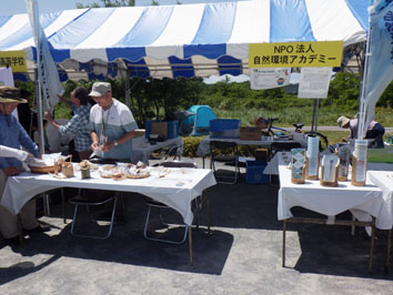 環境フェス