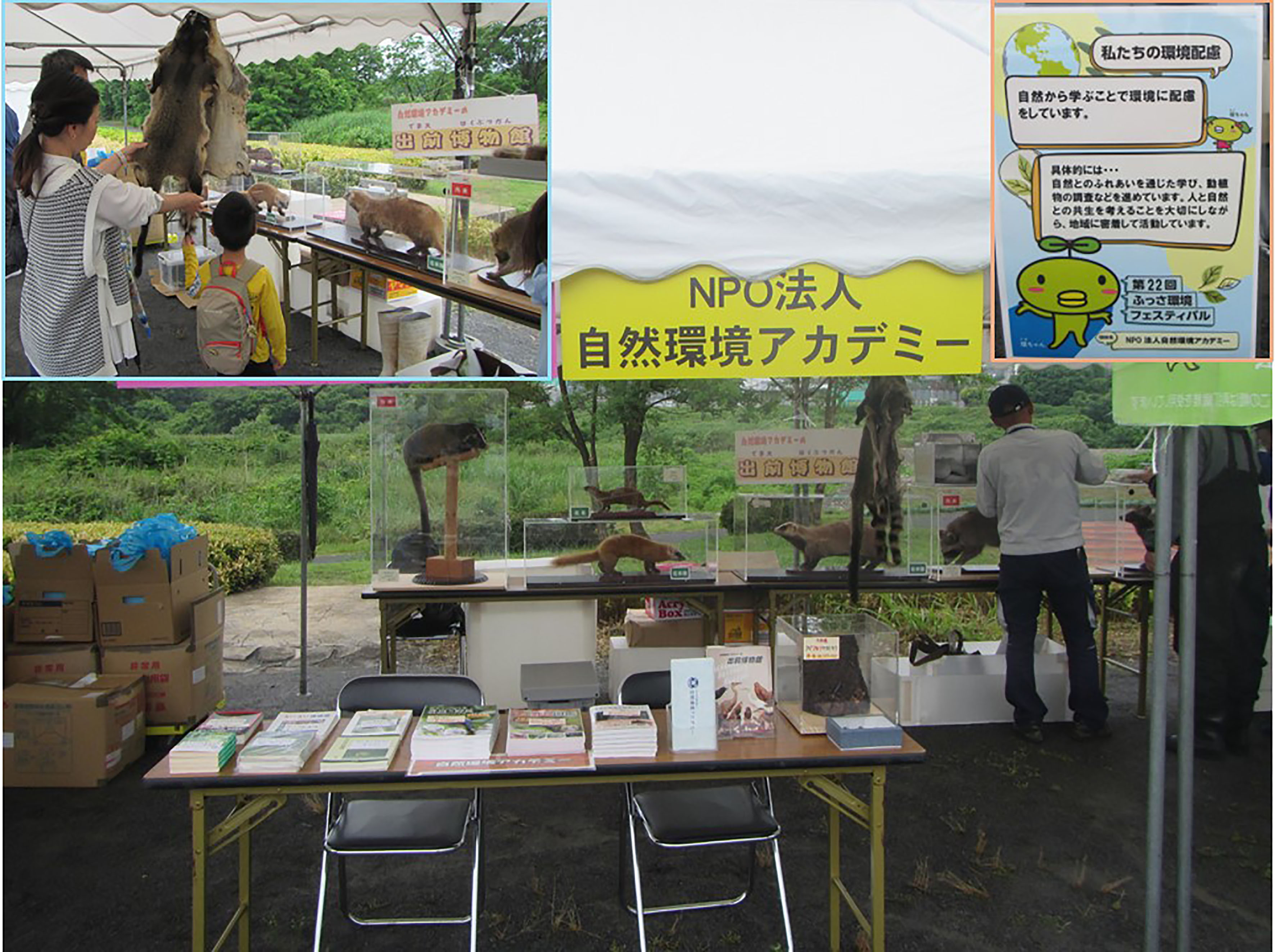 環境フェス
