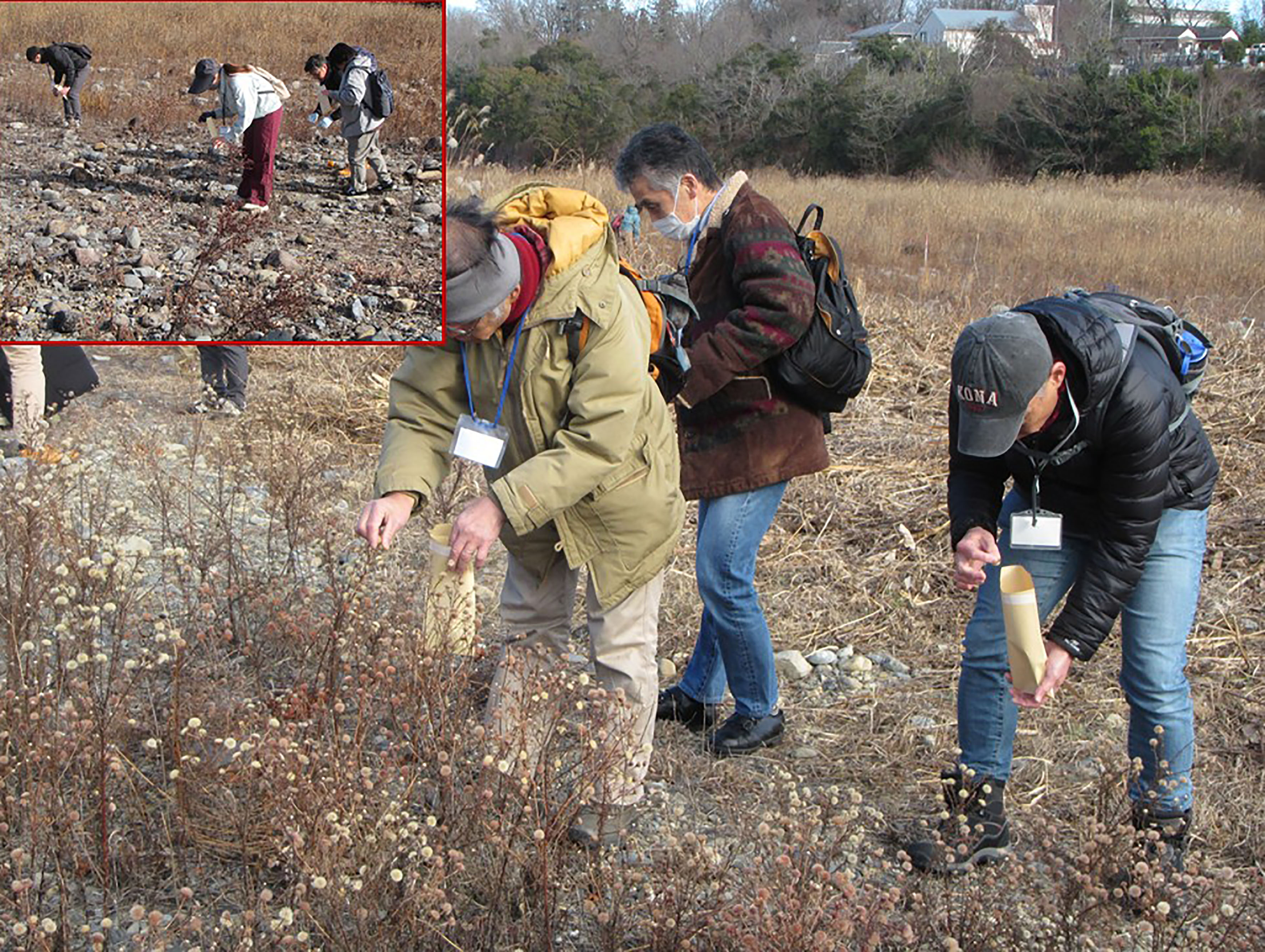 �J�����m�M�N